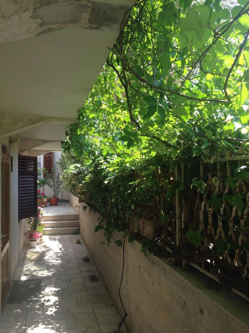 Appartamento Happy Dubrovnik Centre-Free Parking Esterno foto